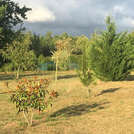Cool Landes