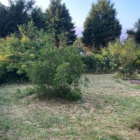 Cool Landes بيت للعطل Sainte-Eulalie-en-Born